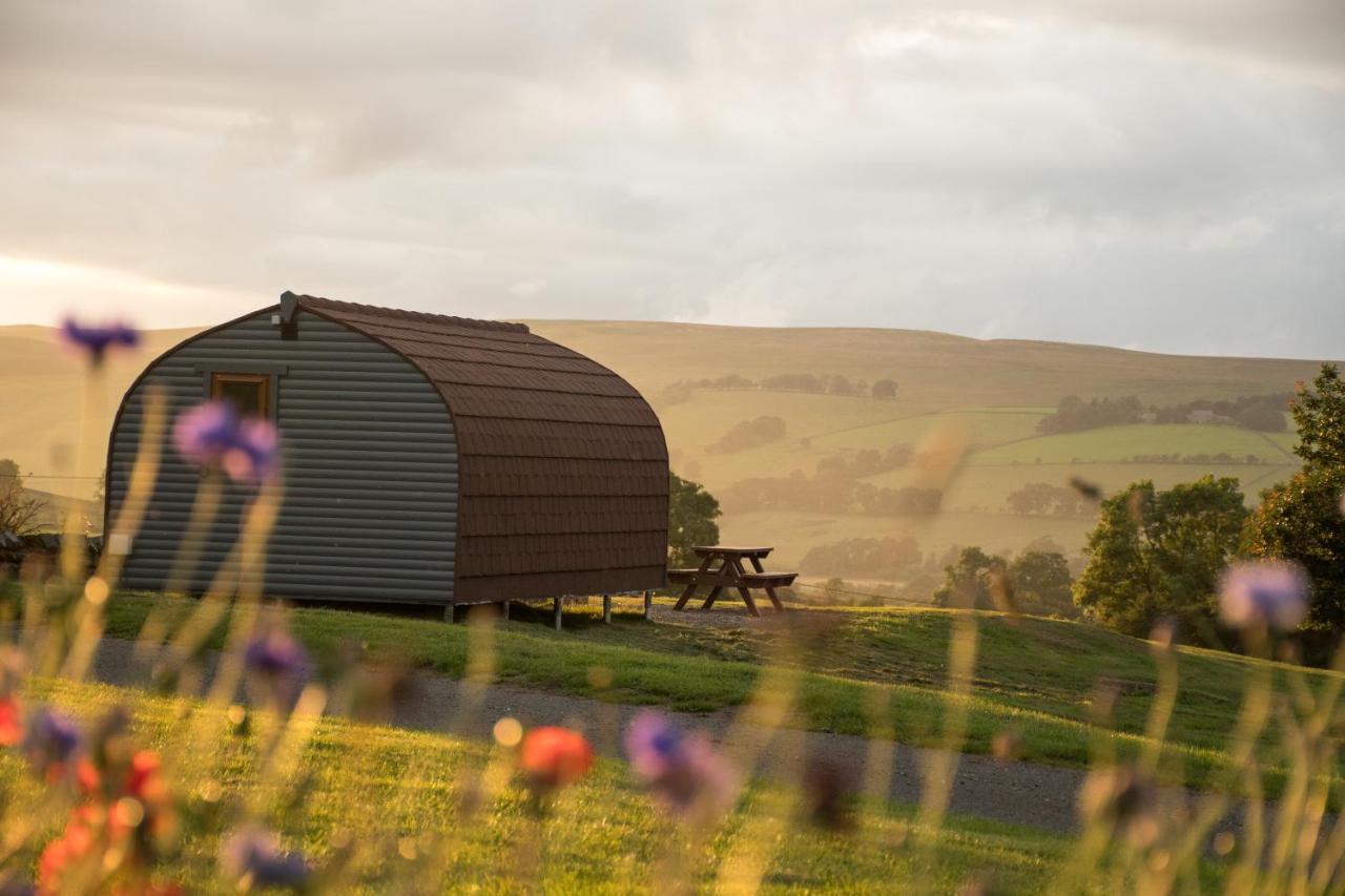 Wild Northumberland Glamping Villa Hexham Exterior photo